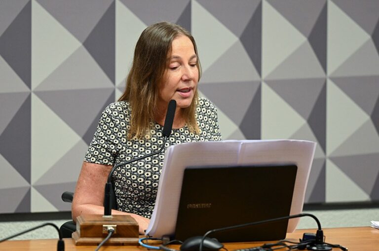 A audiência para apresentação dos dados foi pedida pela vice-presidente da CDH, Mara Gabrilli