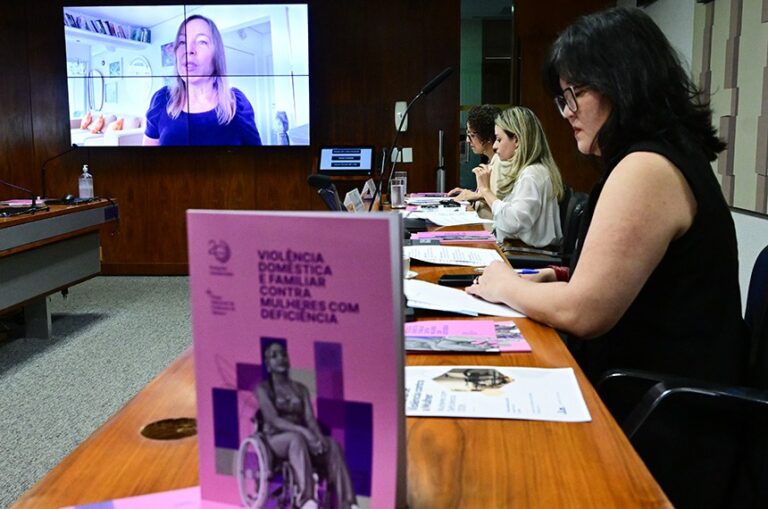 A audiência foi conduzida pela vice-presidente da CDH, senadora Mara Gabrilli (no telão)