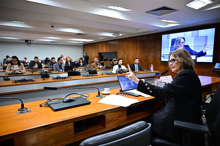 Damares Alves se pronuncia na presidência dos trabalhos